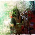 Painting_at_Edworthy_Park